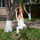Trapeze swing bar with rings
