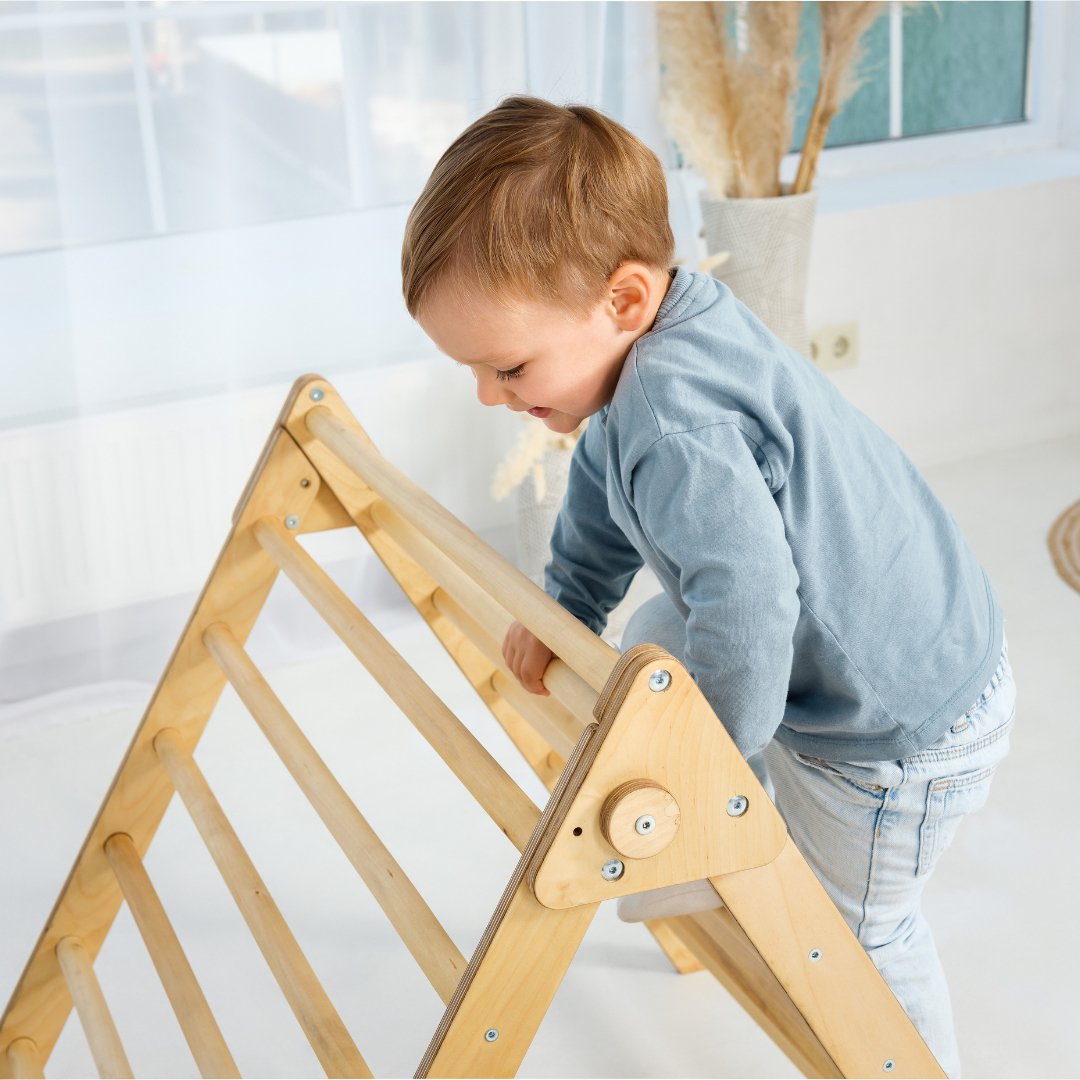 Indoor Montessori Triangle Climbing Ladder for Toddlers 1 - 7 y.o. | | Goodevas CA