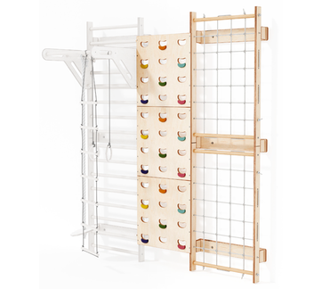 Ladder wall gym set